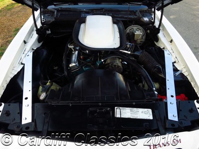 1976 Pontiac Trans-Am  455ci 4-speed  - 15156160 - 22