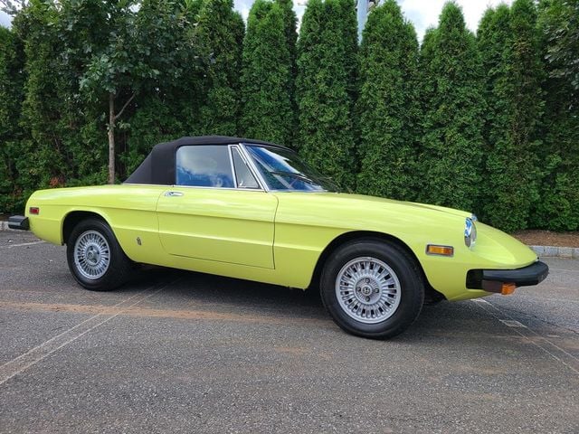 1977 Alfa Romeo SPIDER VELOCE  - 21070759 - 1