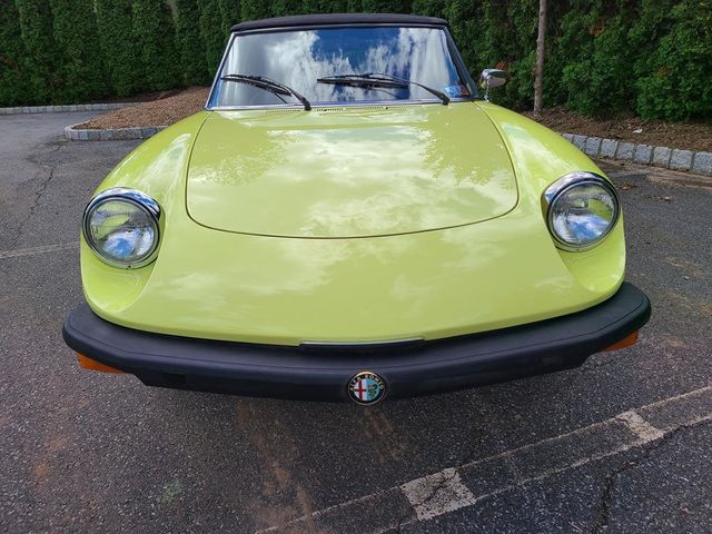 1977 Alfa Romeo SPIDER VELOCE  - 21070759 - 26