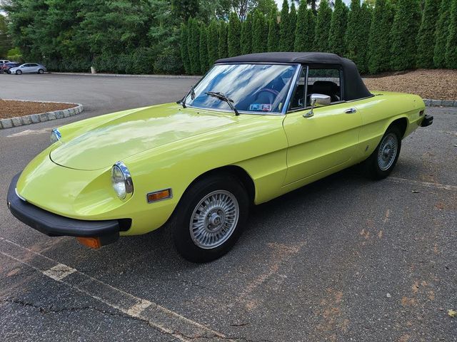 1977 Alfa Romeo SPIDER VELOCE  - 21070759 - 28