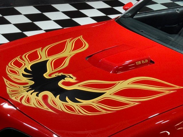 1977 Pontiac Firebird Trans Am 400cid Z CODE NICE IN & OUT SEE VIDEO CLIP! - 22875070 - 10