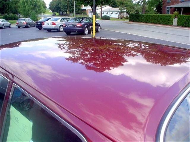 1977 Saab 99 Factory Turbo Test Car - 9125205 - 4