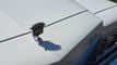 1978 Cadillac Coupe De Ville For Sale  - 23058357 - 29