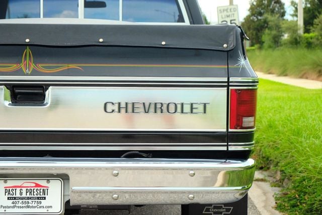 1978 Chevrolet Silverado C10 Only 35,200 Original Miles, Cold AC Original Paint Survivor Show Truck - 21609219 - 22