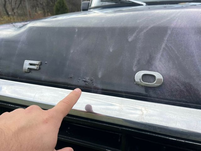 1978 Ford F-150  - 22927583 - 43