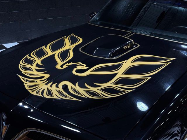 1978 Pontiac Firebird Trans Am Z CODE 400cid AUTO NICE PAINT! SNOWFLAKE SEE VIDEO - 22873282 - 17