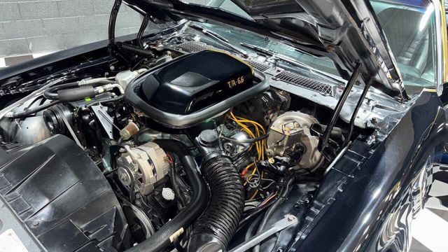 1978 Pontiac Firebird Trans Am Z CODE 400cid AUTO NICE PAINT! SNOWFLAKE SEE VIDEO - 22873282 - 59