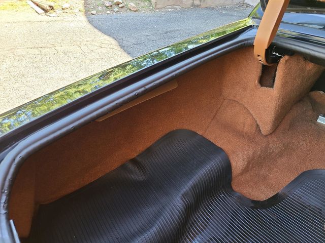 1979 Cadillac SEVILLE  - 20110578 - 48