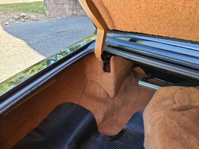 1979 Cadillac SEVILLE  - 20110578 - 49