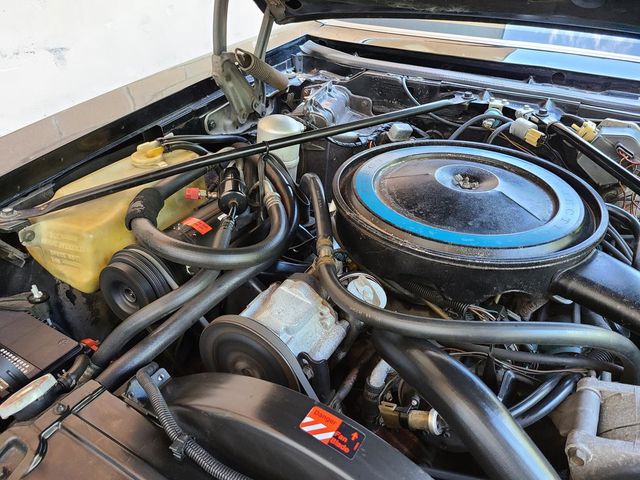 1979 Cadillac SEVILLE  - 20110578 - 68