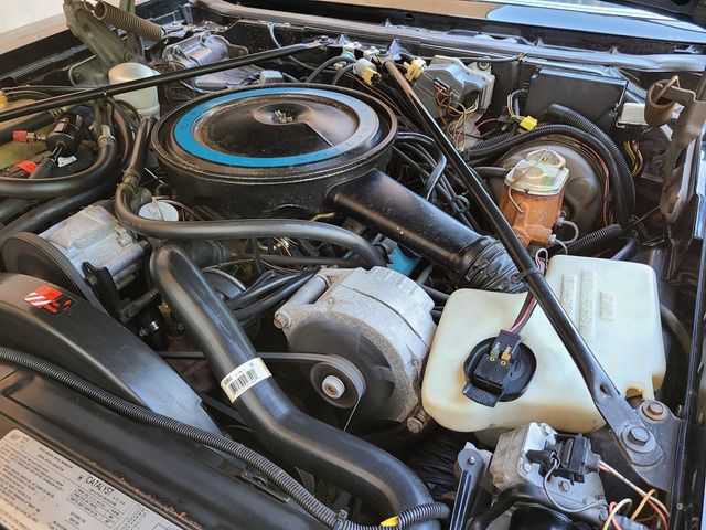 1979 Cadillac SEVILLE  - 20110578 - 69