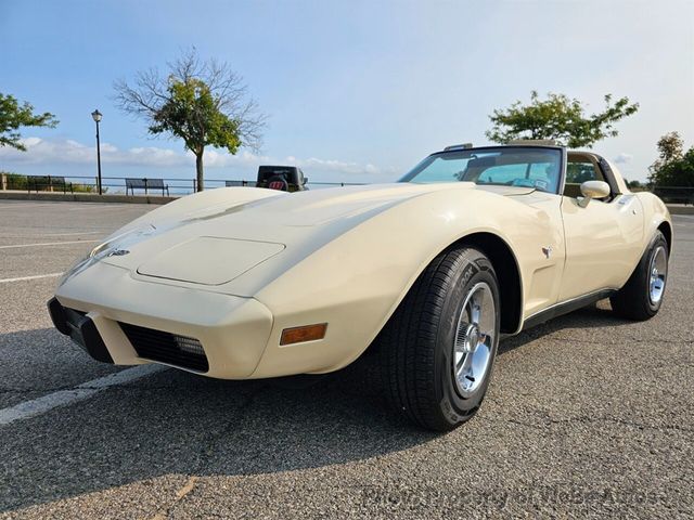 1979 Chevrolet Corvette  - 22596230 - 0