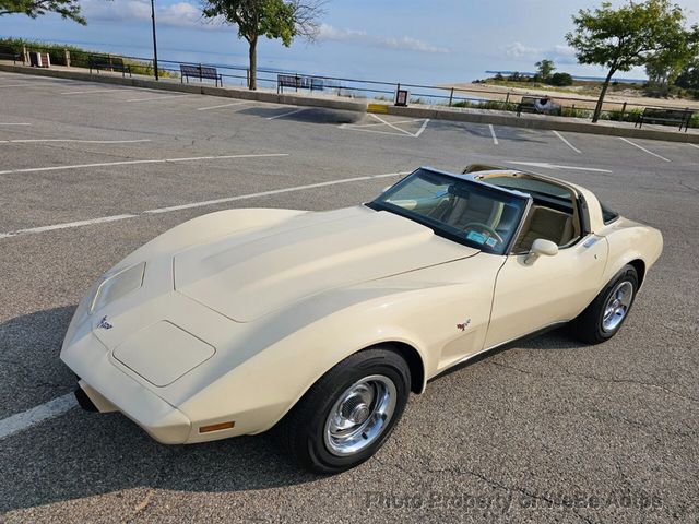 1979 Chevrolet Corvette  - 22596230 - 19