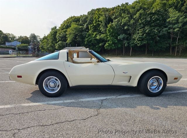 1979 Chevrolet Corvette  - 22596230 - 3