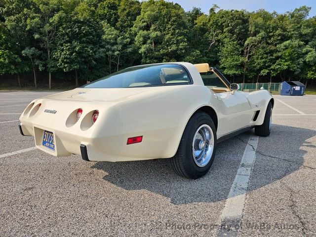 1979 Chevrolet Corvette  - 22596230 - 4