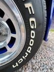 1979 Chevrolet Corvette L82 with both T-Tops, solid and mirrored glass - 22934569 - 14
