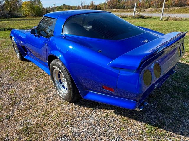 1979 Chevrolet Corvette L82 with both T-Tops, solid and mirrored glass - 22934569 - 35