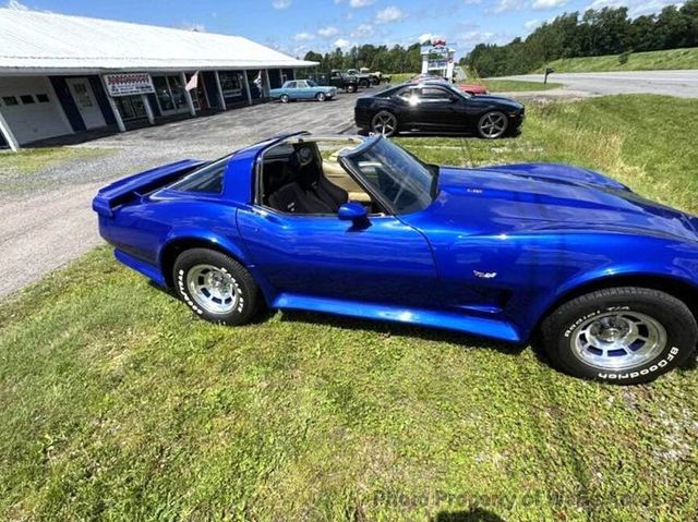 1979 Chevrolet Corvette L82 with both T-Tops, solid and mirrored glass - 22934569 - 44