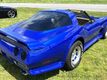 1979 Chevrolet Corvette L82 with both T-Tops, solid and mirrored glass - 22934569 - 47