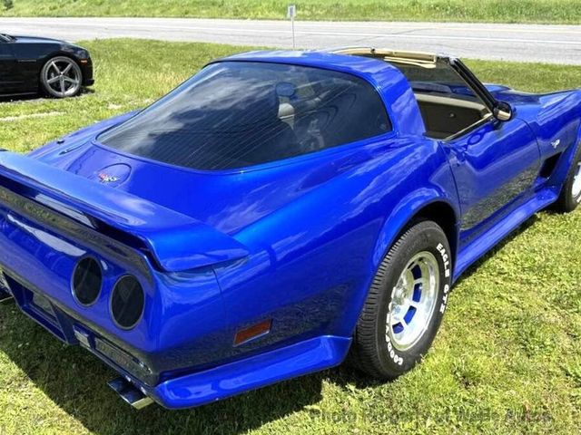 1979 Chevrolet Corvette L82 with both T-Tops, solid and mirrored glass - 22934569 - 47