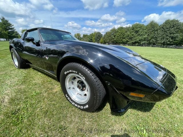 1979 Chevrolet Corvette Stingray T-Top - 22552913 - 3