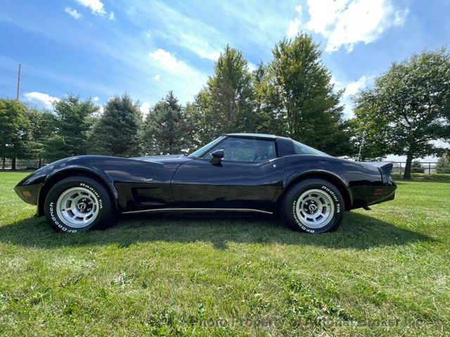 1979 Chevrolet Corvette Stingray T-Top - 22552913 - 48