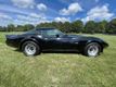 1979 Chevrolet Corvette Stingray T-Top - 22552913 - 4