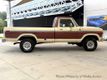 1979 Ford F-150  - 23047880 - 4