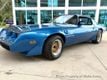 1979 Pontiac Firebird  - 23027382 - 11