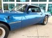 1979 Pontiac Firebird  - 23027382 - 12