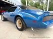 1979 Pontiac Firebird  - 23027382 - 14