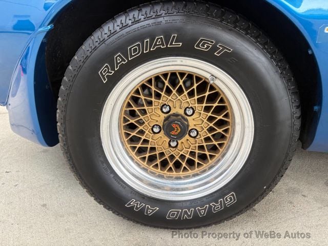 1979 Pontiac Firebird  - 23027382 - 20
