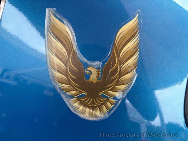1979 Pontiac Firebird  - 23027382 - 22