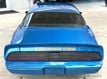 1979 Pontiac Firebird  - 23027382 - 7