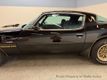 1979 Pontiac Firebird  - 23036784 - 13