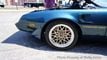 1979 Pontiac Firebird Trans Am For Sale - 22916747 - 20