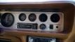 1979 Pontiac Firebird Trans Am For Sale - 22916747 - 25