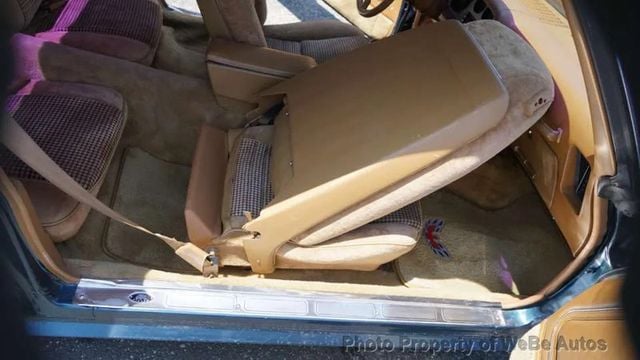 1979 Pontiac Firebird Trans Am For Sale - 22916747 - 34