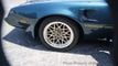 1979 Pontiac Firebird Trans Am For Sale - 22916747 - 53