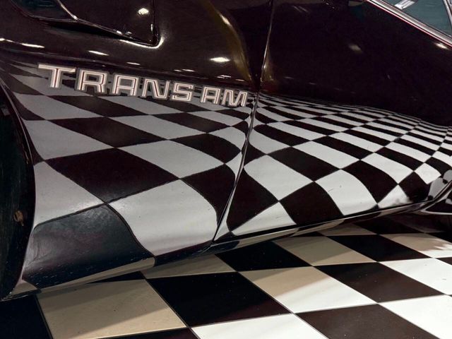 1979 Pontiac Trans Am 6.6 400cid 4 Speed T Tops DRIVER QUALITY BIRD!!!!! - 22946498 - 65