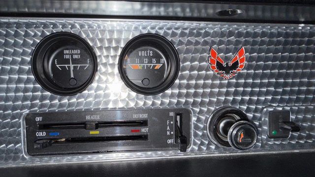 1979 Pontiac Trans Am 6.6 400cid 4 Speed T Tops DRIVER QUALITY BIRD!!!!! - 22946498 - 85