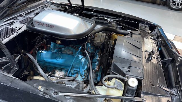 1979 Pontiac Trans Am 6.6 400cid 4 Speed T Tops DRIVER QUALITY BIRD!!!!! - 22946498 - 89