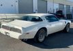 1979 Pontiac Trans Am For Sale - 22364263 - 14