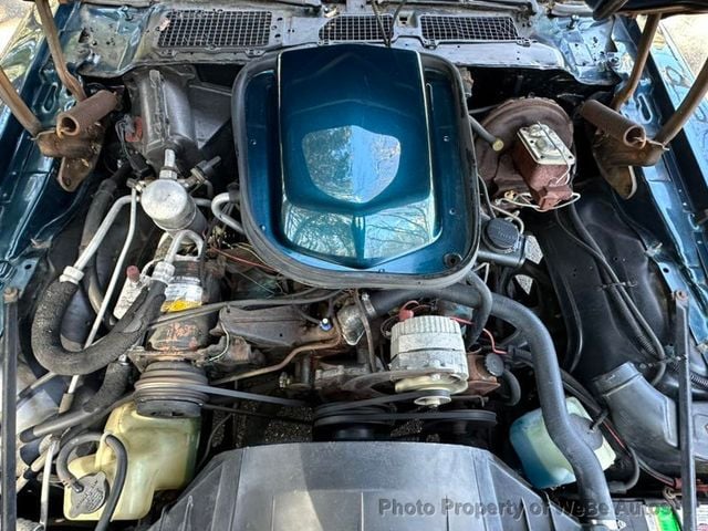 1979 Pontiac Trans Am Survivor For Sale - 23002319 - 23