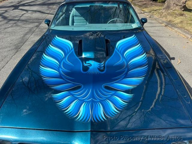 1979 Pontiac Trans Am Survivor For Sale - 23002319 - 2
