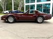 1980 Chevrolet Corvette  - 23042484 - 9