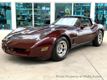 1980 Chevrolet Corvette  - 23042484 - 10