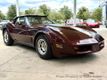 1980 Chevrolet Corvette  - 23042484 - 3