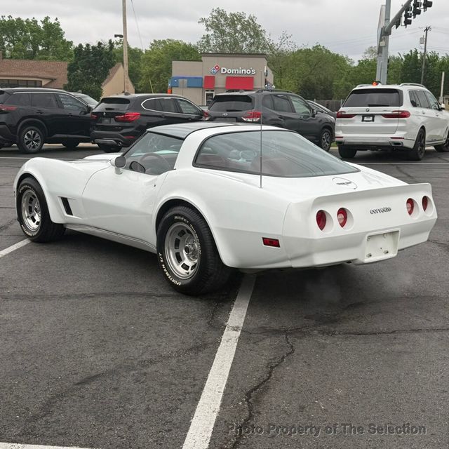1980 Chevrolet CORVETTE C3 GENERATION SHARK - 23009244 - 10