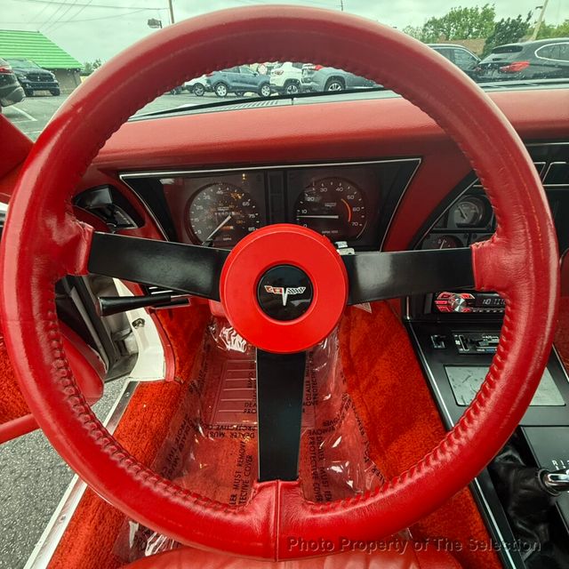 1980 Chevrolet CORVETTE C3 GENERATION SHARK - 23009244 - 26